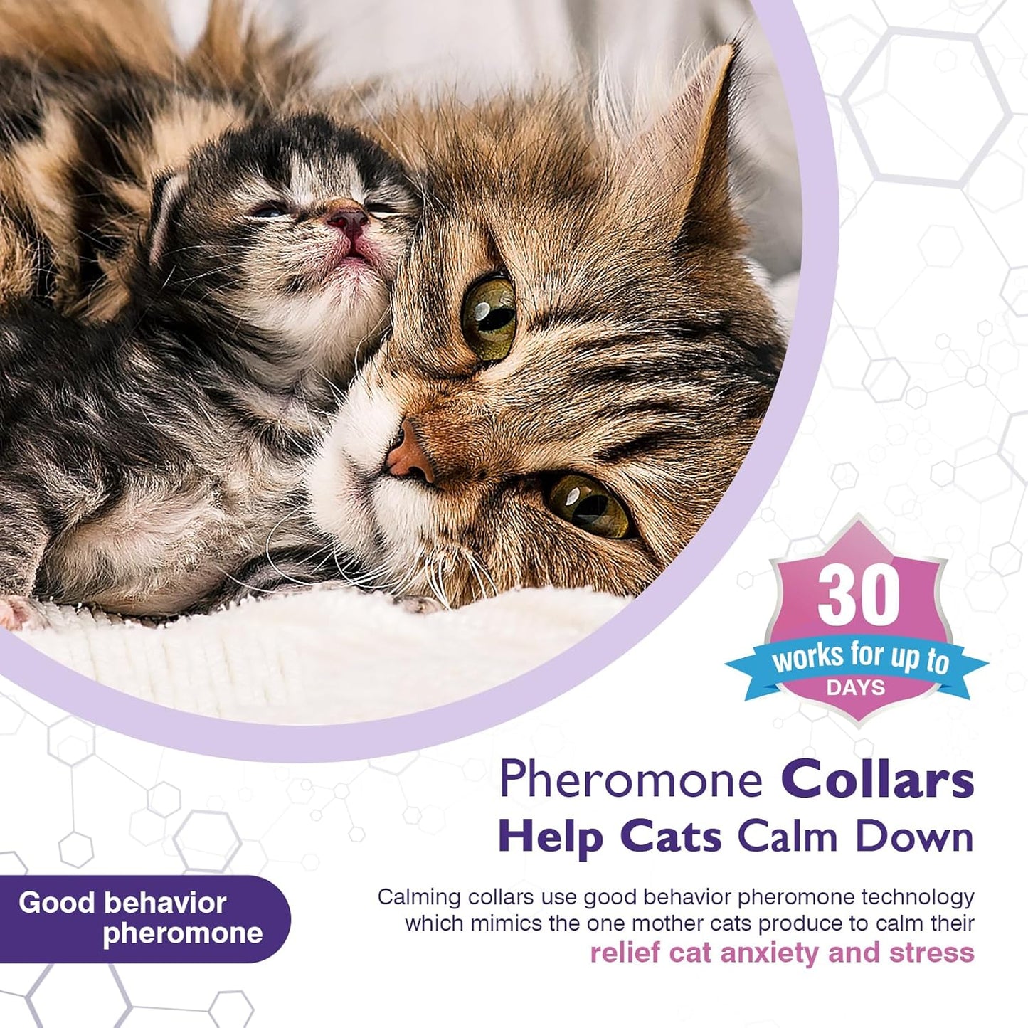 3 Pack Calming Collar for Cats and Kittens Pheromone Collar Efficient Relieve Reduce Anxiety Stress
