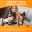 Feline/Cat HealthCheck 4-in-1 Test Kit ，Reliable Detection of Common Cats Illnesses ，Quick and Easy at-Home Testing