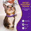 4 Pack Calming Collar for Cats – Pheromone Cat Calming Collar Cat Anxiety Relief and Stress