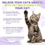Cat Melatonin, Melatonin for Cats, Cat Tranquilizer to Anxiety Relief