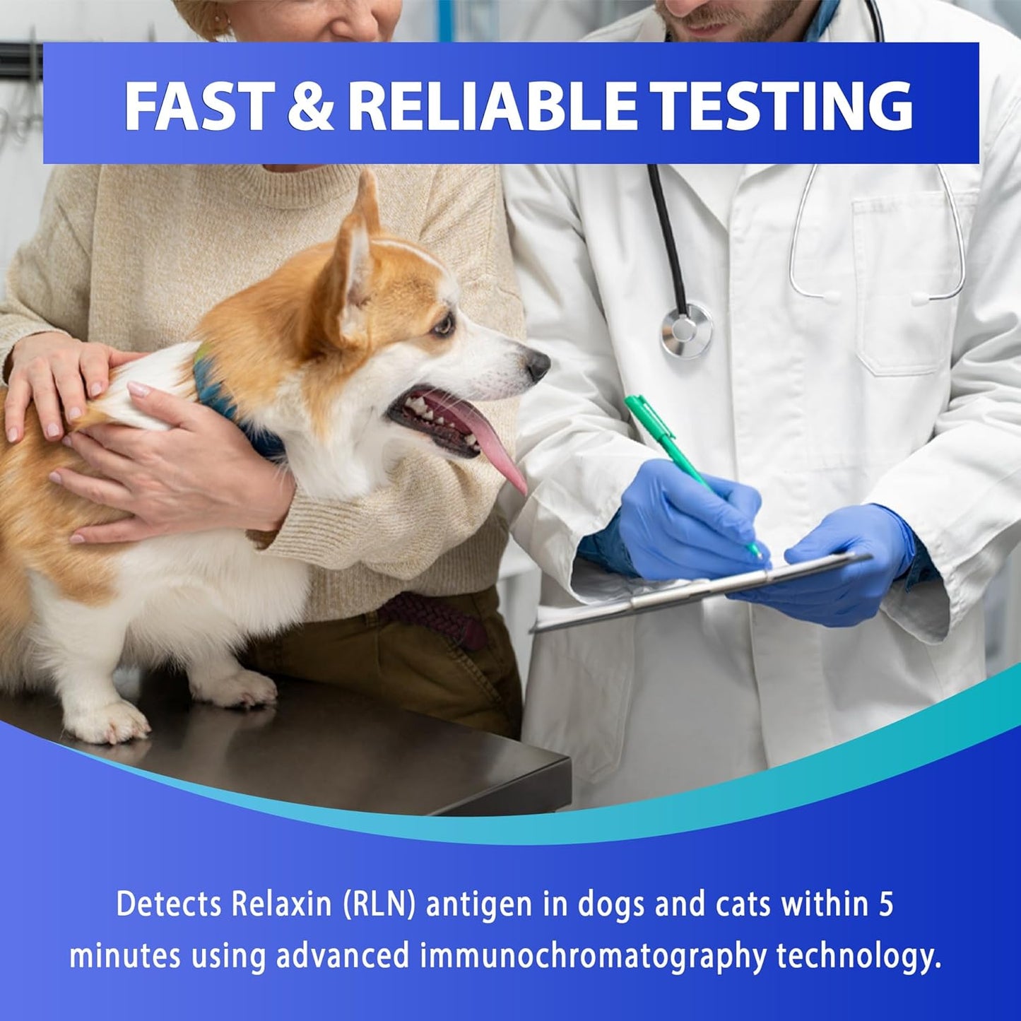 Dog Cat Pregnancy Test kit at Home – 2 Tests/Pack Canine & Feline Pregnancy Screening Kit Relaxin Test Kit