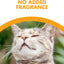 Feline Pine Platinum Non-Clumping Cat Litter, Feline Pine Cat Litter 18lb