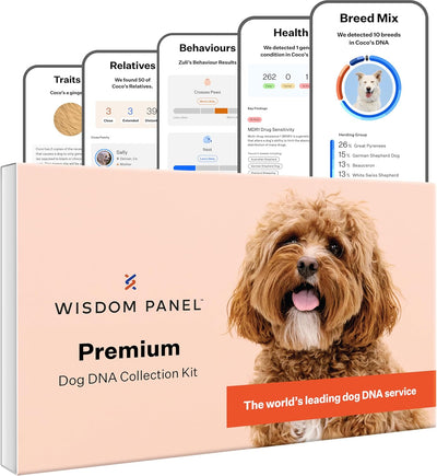 Wisdom Panel Premium: Most Comprehensive Dog DNA Test for 260+ Health Tests |
