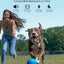 Jugbow Dog Shock Collar - 4200FT Dog Training Collar with Remote for 5-120lbs Small Medium Large Dogs