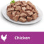 Adult Wet Dog Food Tender Chicken & Turkey Banquet 400g Can, 24 Pack
