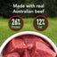 Adult Active Beef Dry Dog Food 12kg