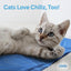 The Green Pet Shop Chillz Gel Mat, Large - Pressure-Activated Cooling Pad for Pets 25-50 lbs - Non-Toxic, No Water or Refrigeration Needed - Ideal for Home, Travel & Crates
