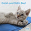 The Green Pet Shop Chillz Gel Mat, Extra Large - Pressure-Activated Cooling Pad