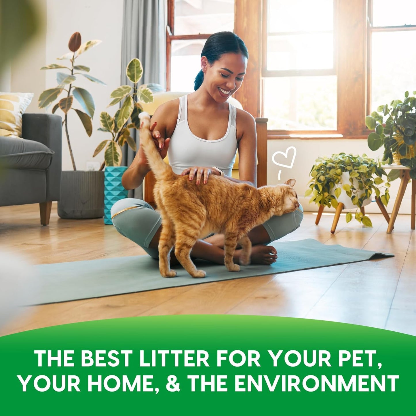 Fresh News Recycled Paper, Original Pellet Cat Litter, 25 Pound-USA made