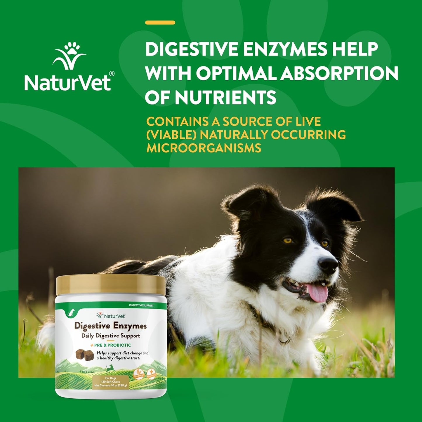 NaturVet Digestive Enzymes Plus Probiotic for Dogs, 120 ct Soft Chews, Made in USA