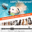 Dog Vibration Collar with Controller for 2 Dogs No Shock, 9 Types of Beeps and Vibrations, 3300ft Range & Upgraded Waterproof Training Collar for Dogs 5-120lbs - No Prongs
