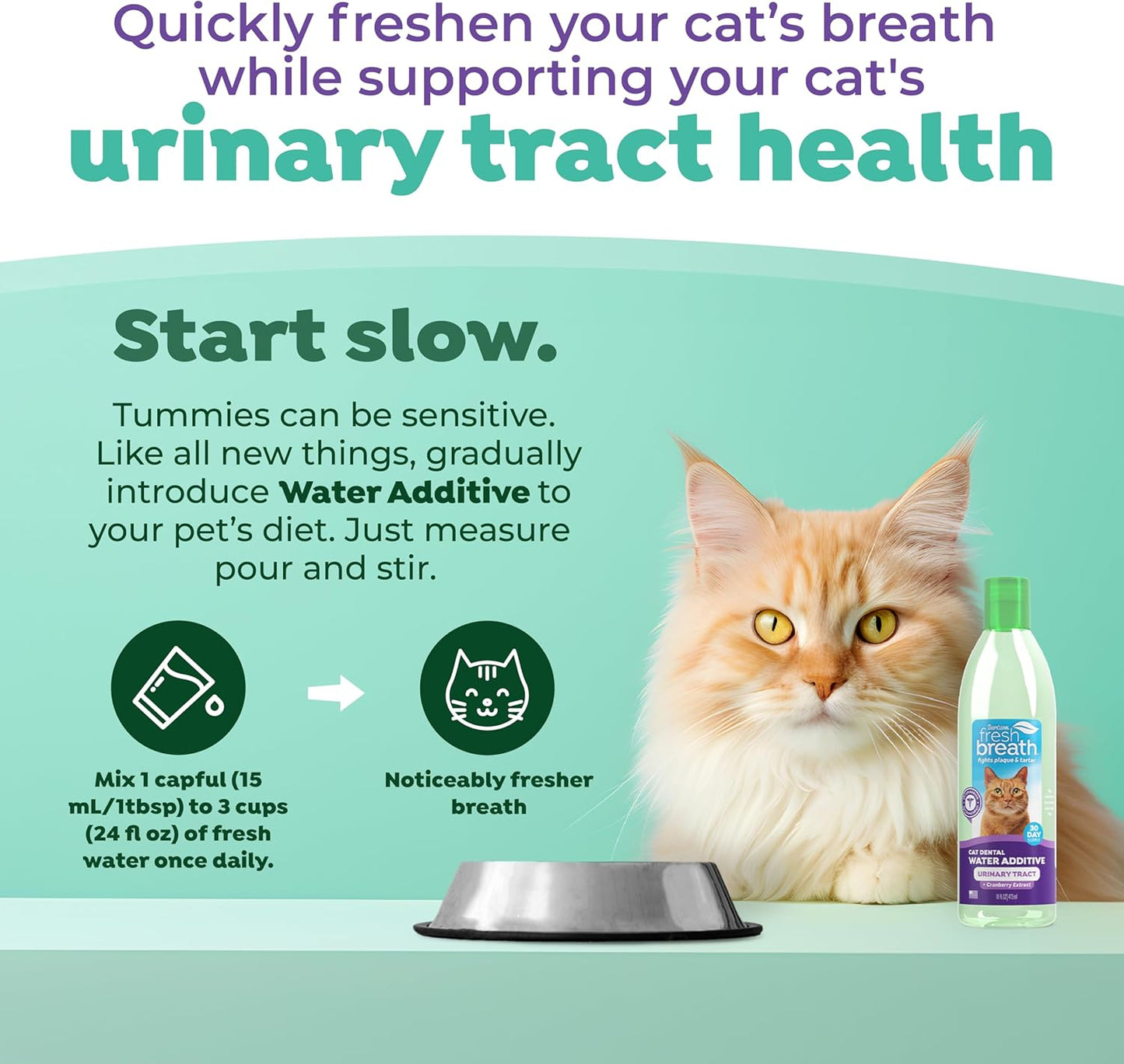 TropiClean Fresh Breath Water Additive for Cats, Cat Teeth Cleaning and Breath Freshener Solution, Complete No Brushing Dental Care, 16 oz.