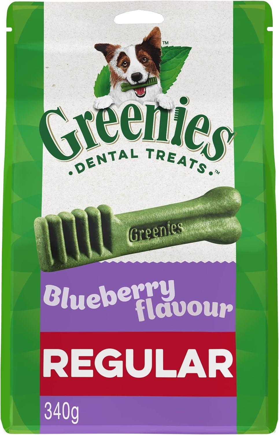 Greenies Blueberry Flavour Regular Dog Dental Treats 340 g