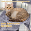 TWDEPART Cat Tree Tower with Scratching Posts,Activity Centre Climbing Tree Furniture with Cat Condo and Two Hammocks,Grey