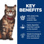 Hill's Science Diet Adult Sensitive Skin and Stomach Variety Pack Cat Food Pouches 12 x 80 g
