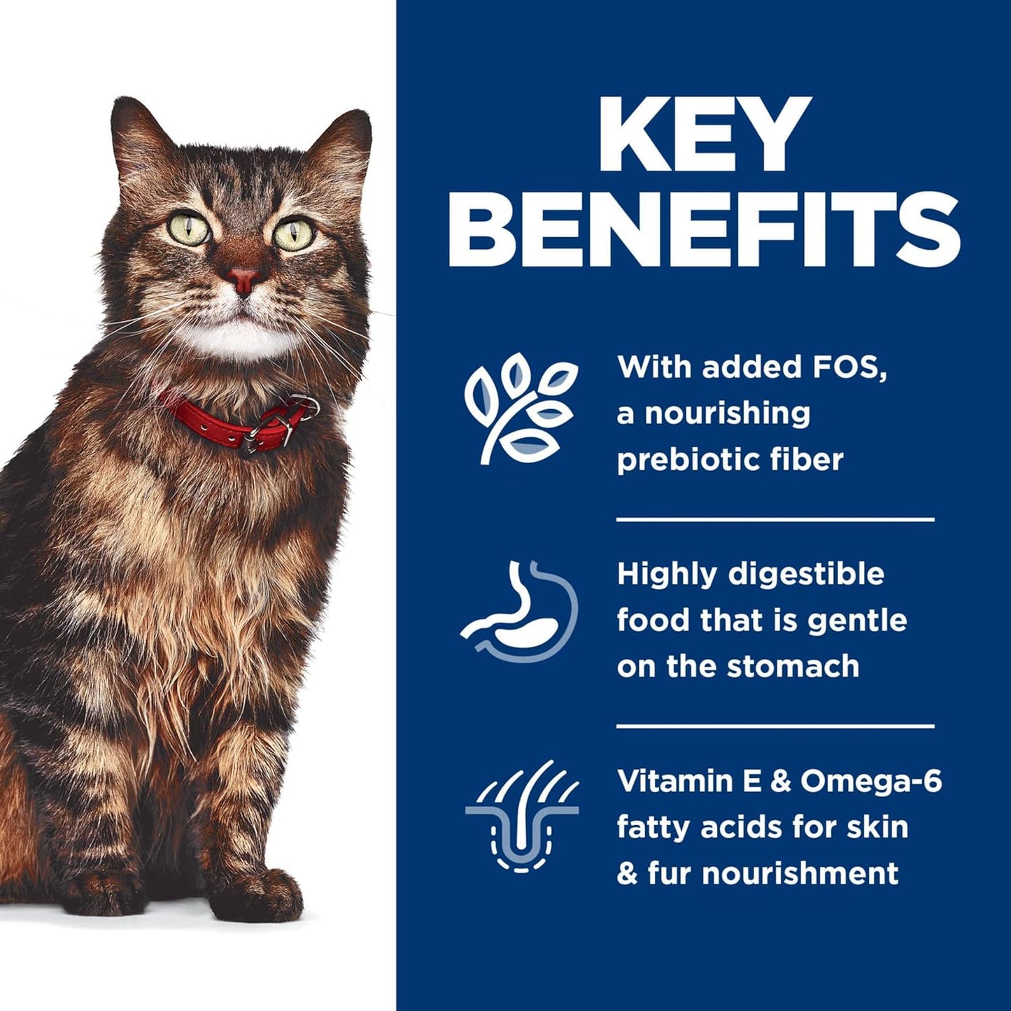 Hill's Science Diet Adult Sensitive Skin and Stomach Variety Pack Cat Food Pouches 12 x 80 g