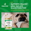 NaturVet No Scoot Plus Pumpkin Soft Chew - 120ct by NaturVet