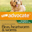 Advocate Dog, Monthly Spot-On Protection from Fleas, Heartworm & Worms, Three Pack Flea Treatment for Puppies & Small Dogs up to 4 kg, 3 Pack