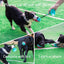 Interactive Dog Toys Tug of War, Mentally Stimulating Toys for Dog, Puppy Teething Puzzle Treat Food Dispensing Ball Toy for Small Medium dog