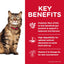 Hill's Science Diet Sensitive Stomach and Skin Adult, Chicken and Rice Recipe, Dry Cat Food, 3.17kg Bag