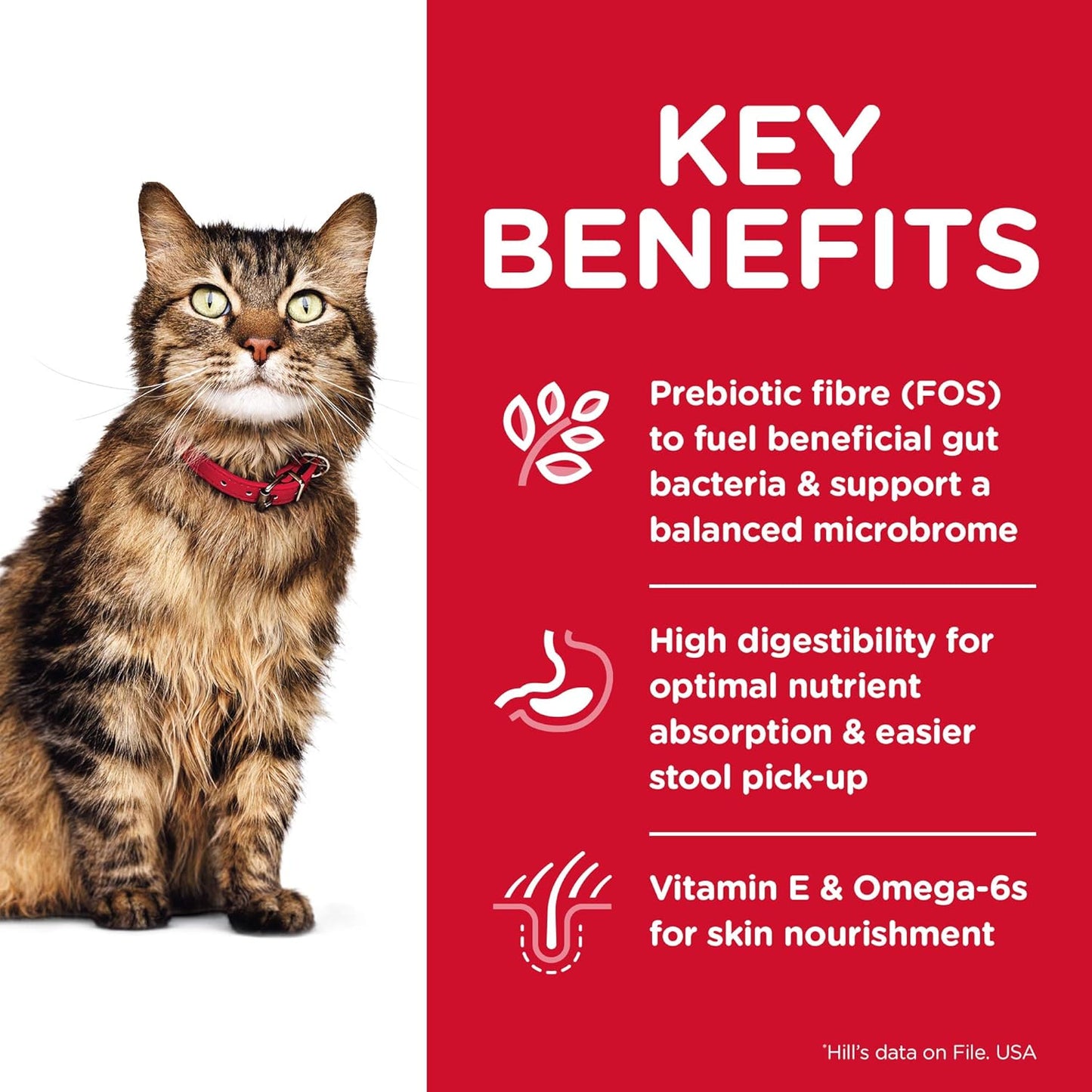 Hill's Science Diet Sensitive Stomach and Skin Adult, Chicken and Rice Recipe, Dry Cat Food, 3.17kg Bag