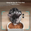 PETLIBRO Automatic Cat Feeder with Camera, 1080P HD Video with Night Vision, 5G WiFi Pet Feeder with 2-Way Audio