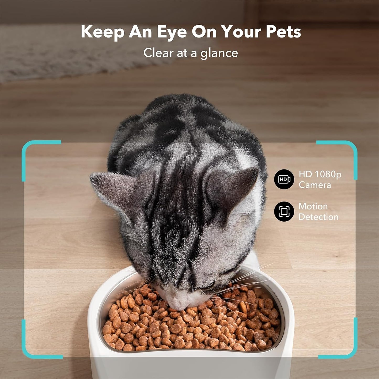 PETLIBRO Automatic Cat Feeder with Camera, 1080P HD Video with Night Vision, 5G WiFi Pet Feeder with 2-Way Audio