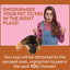 OUT! PetCare Go Here Attractant Indoor and Outdoor Dog Training Spray | House-Training Aid for Puppies and Dogs | 32 oz