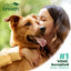 TropiClean Fresh Breath Water Additive for Dogs, Dog Breath Freshener and Teeth Cleaning Solution, No Toothpaste or Toothbrush Required, 33.8oz. Visit the TropiClean Store