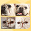 HICC PET Wrinkle Wipes for Dogs, Vet-Recommended Tear Stain Remover & Wrinkle Cleaner(100 Ct)