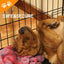 ADVWIN 8 Panel 24" Dog Playpen, Foldable Pet Fence Dog for Puppy Rabbit