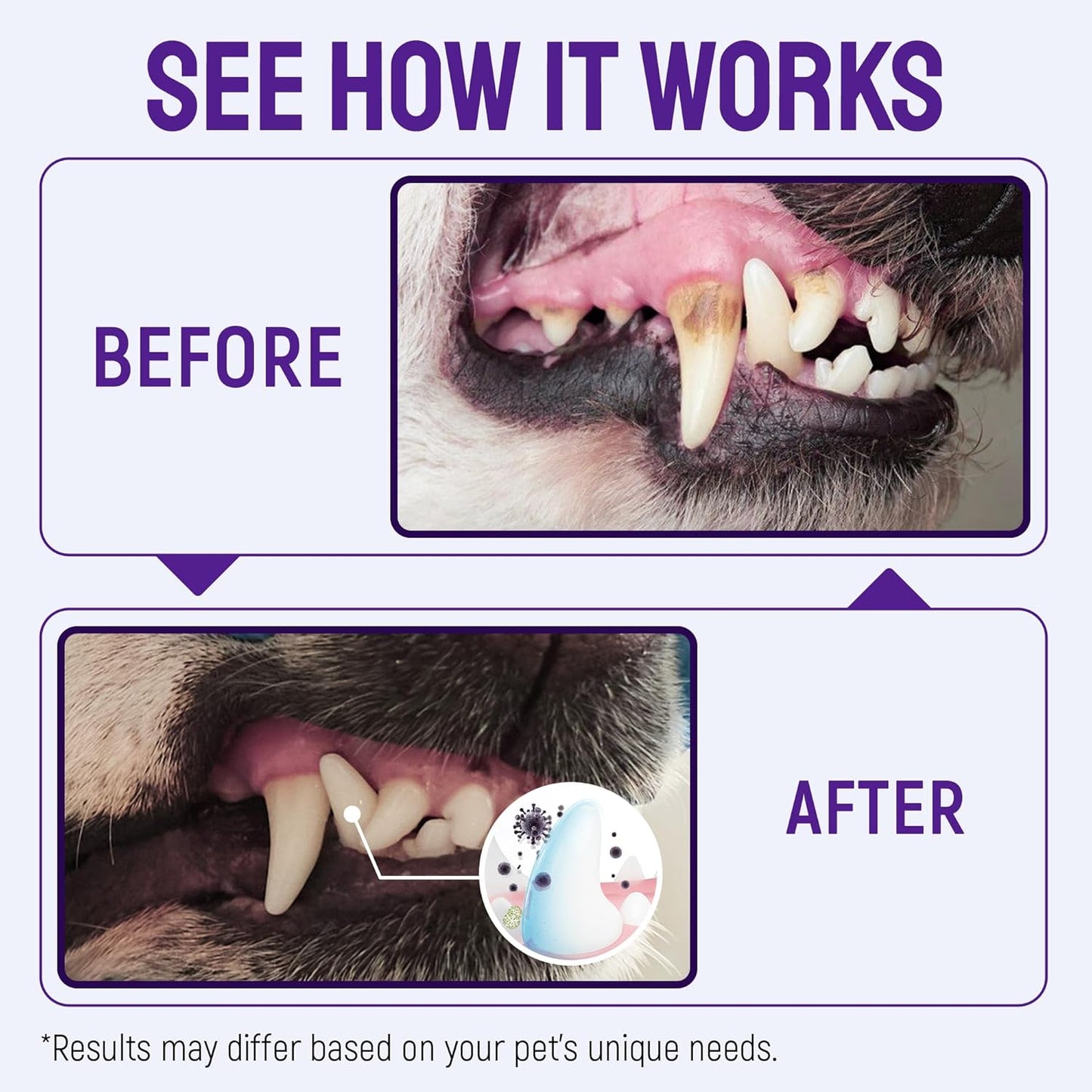Teeth & Gum Dog Breath Spray for Pets Mouth,Cat & Dog Breath Freshener Helps with Tartar & Caries – Plaque Remover for Daily Use