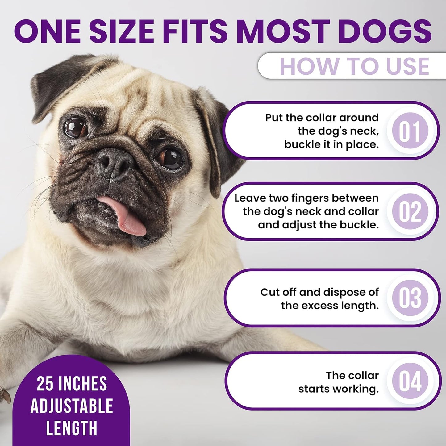 Royce Naturals 4 Pack Calming Collar for Dogs, Pheromone Breakaway Dog Collar, Separation Anxiety Relief for Dogs, Purple, (PETCOL01-3PP)