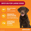 Advocate Dog, Monthly Spot-On Protection from Fleas, Heartworm & Worms, Three Pack Flea Treatment for Large Dogs 10-25 kg, 3 Pack
