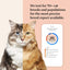 Wisdom Panel Complete: Comprehensive Cat DNA Test