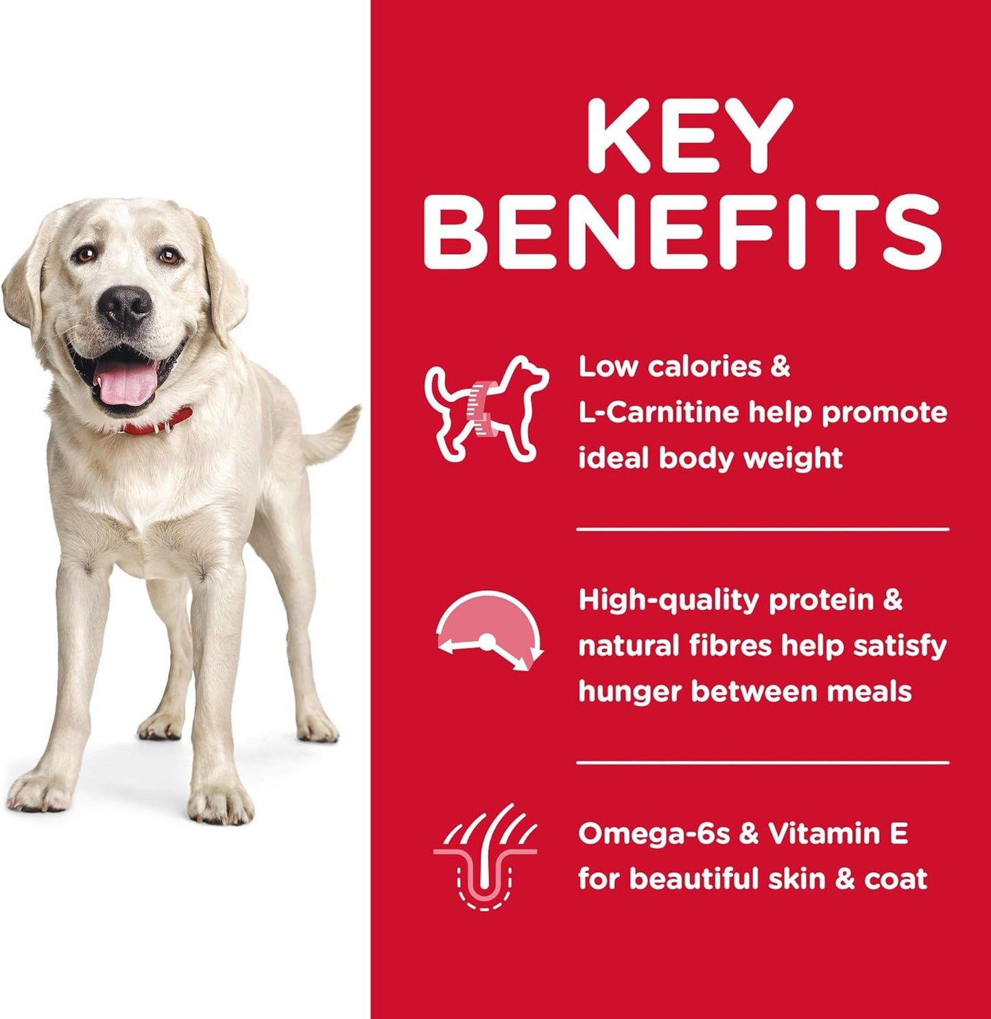 Hill's Science Diet Light Adult Large Breed,Chicken Meal and Barley Recipe, Low Calorie Dry Dog Food for Healthy Weight and Management, 12kg Bag
