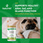 NaturVet No Scoot for Dogs - Plus Pumpkin | Supports Healthy Gland & Intestinal Function | Enriched with Beet Cutlet, Linseed & Psyllium Husks | 155 g Powder