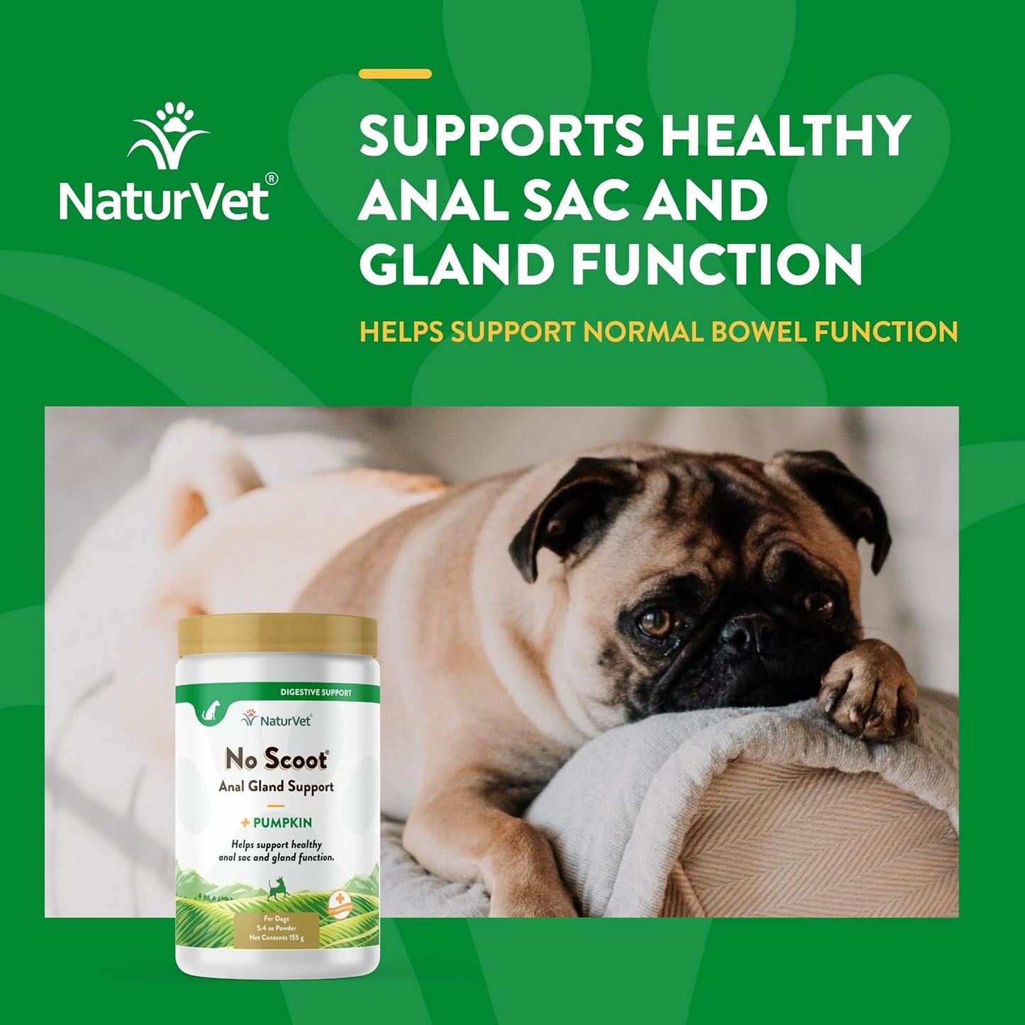 NaturVet No Scoot for Dogs - Plus Pumpkin | Supports Healthy Gland & Intestinal Function | Enriched with Beet Cutlet, Linseed & Psyllium Husks | 155 g Powder