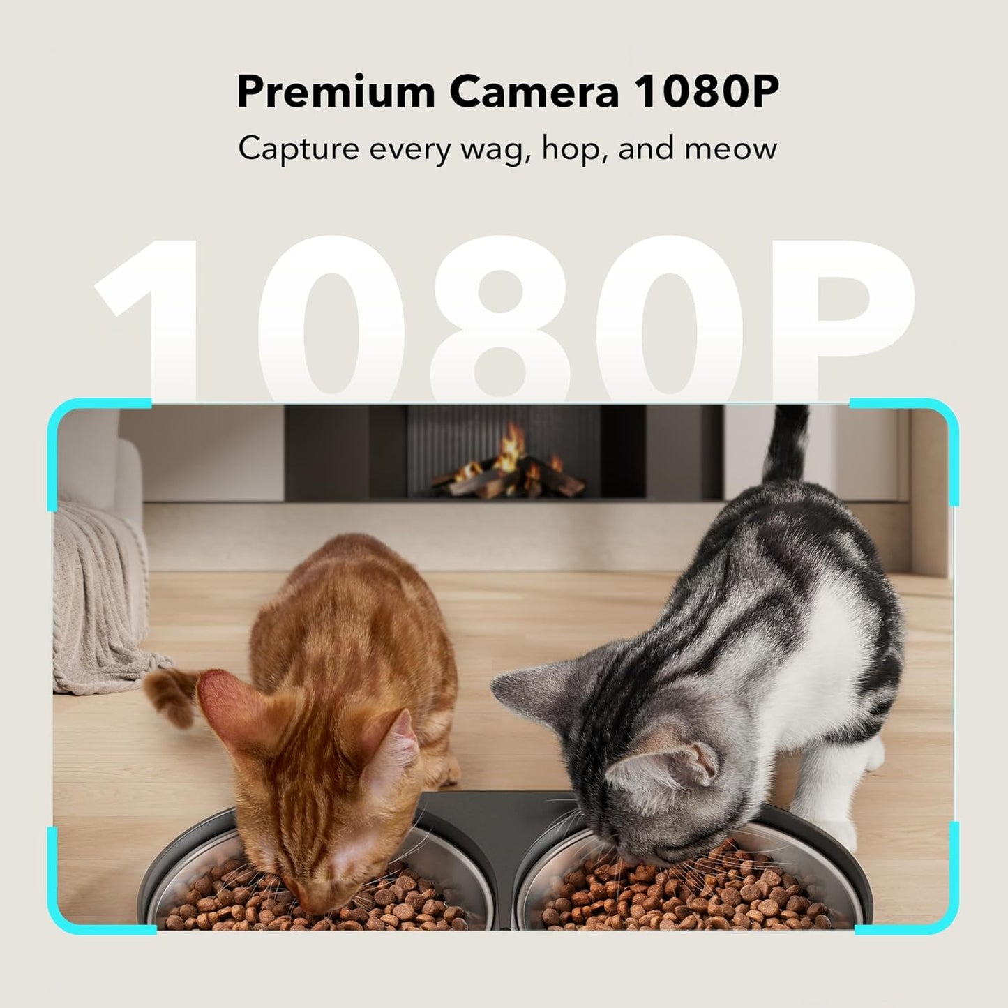 PETLIBRO Automatic Cat Feeder with Camera, 1080P HD Video with Night Vision, 5G WiFi Pet Feeder with 2-Way Audio