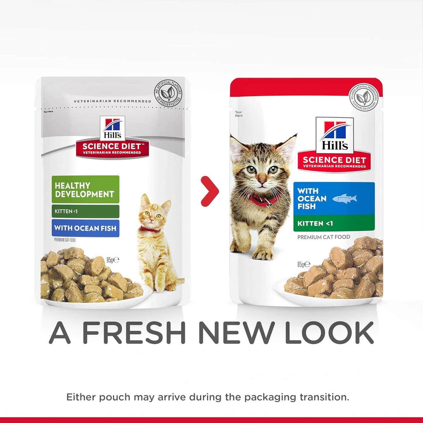 Hill's Science Diet Kitten Wet Cat Food, Ocean Fish, 85g, 12 Pack, Cat Food Pouches