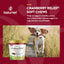 NaturVet CRANBERRY RELIEF + Echinacea Soft Chew Dogs Urinary Tract (CUP) - 60 ct