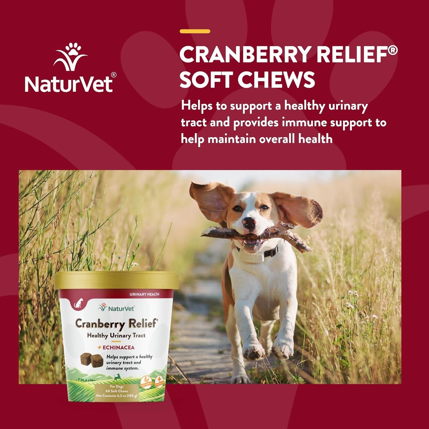 NaturVet CRANBERRY RELIEF + Echinacea Soft Chew Dogs Urinary Tract (CUP) - 60 ct