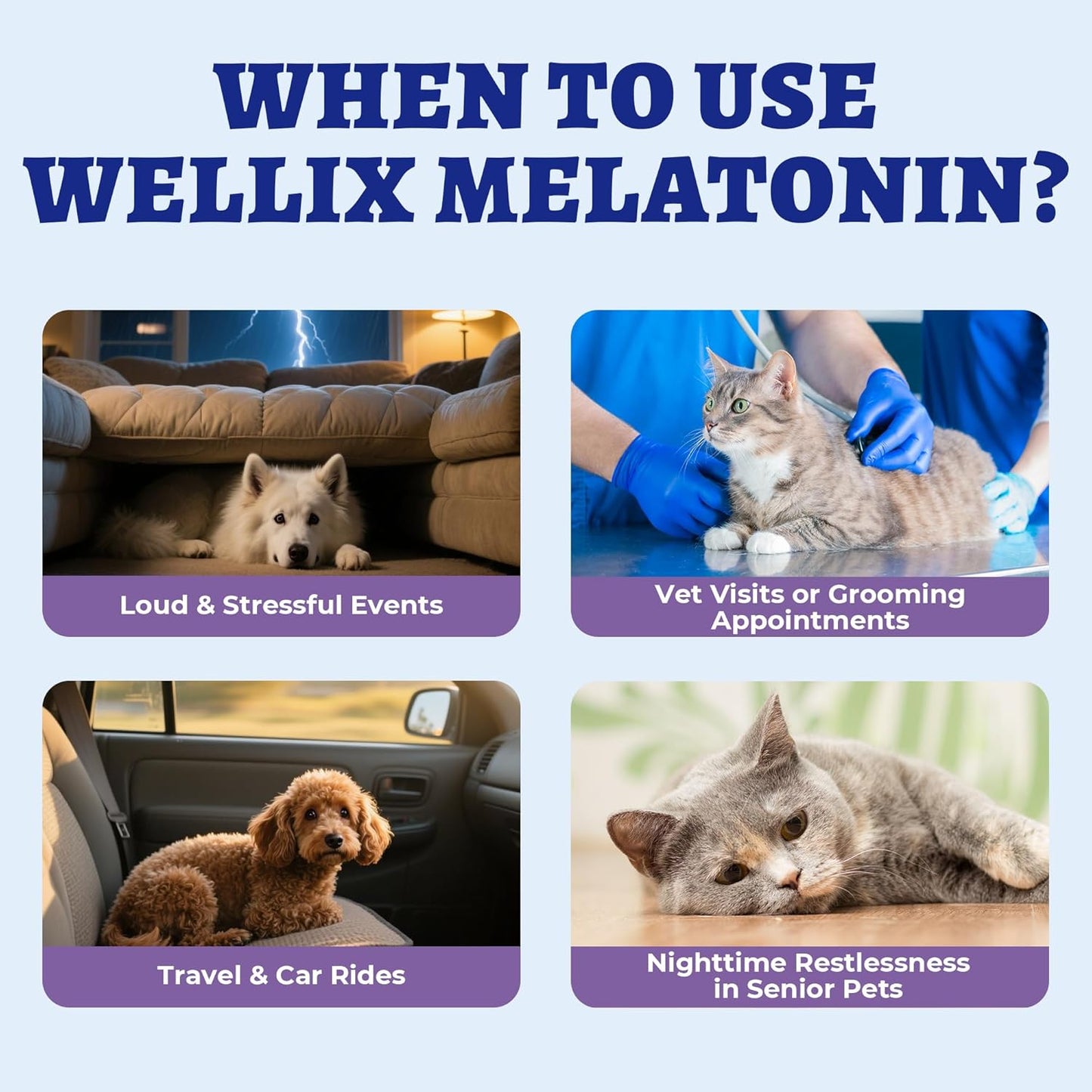 Melatonin for Dogs & Cats – Calm, Relaxation & Better Sleep (2-Pack)