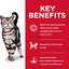 Hill's Science Diet Indoor Cat Dry Food, 4 kg