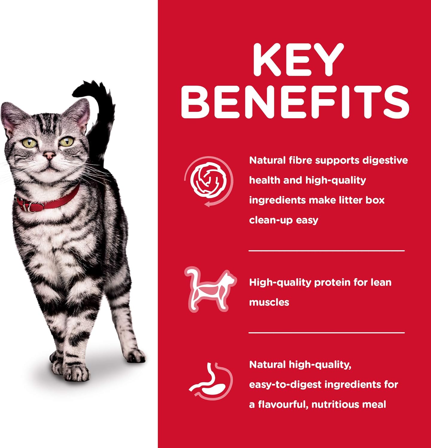 Hill's Science Diet Indoor Cat Dry Food, 2 kg