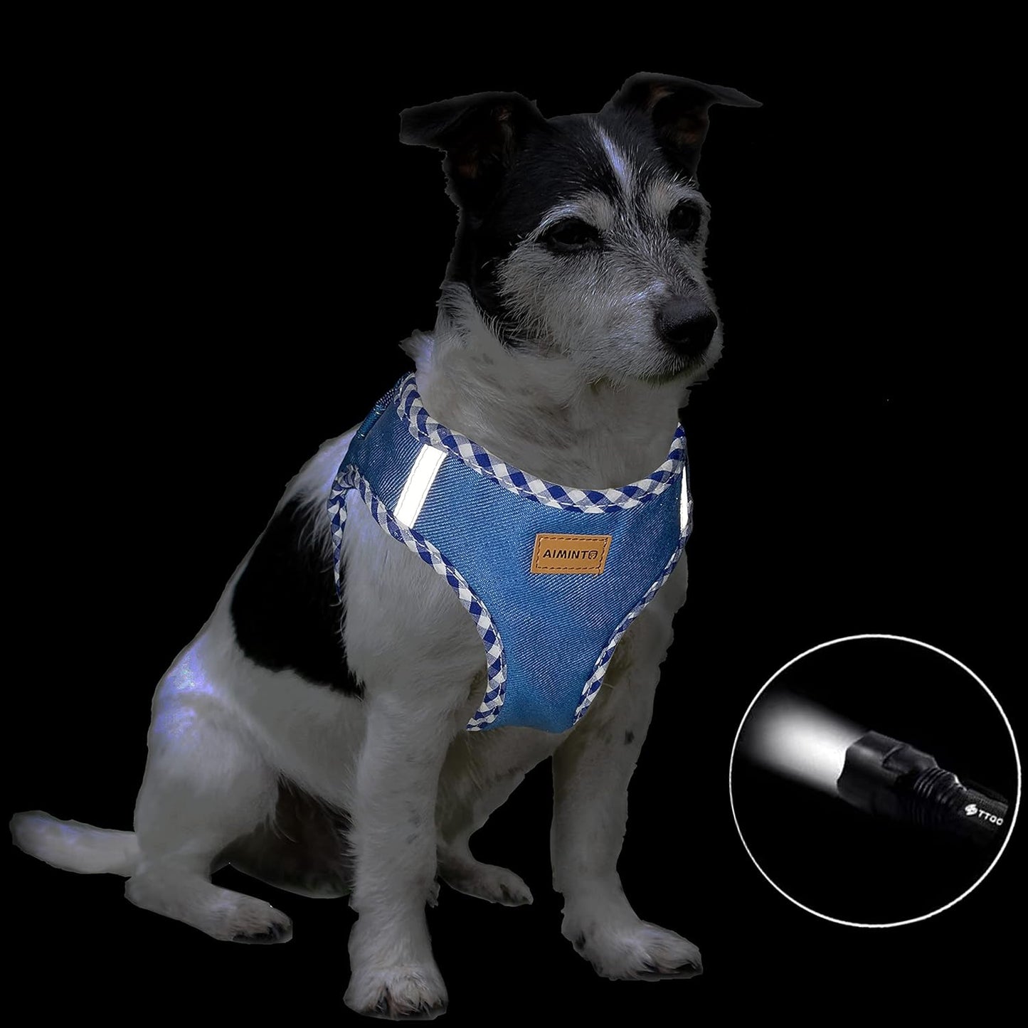 Premium Denim Dog Harness and Leash Set (Baby Blue, S)