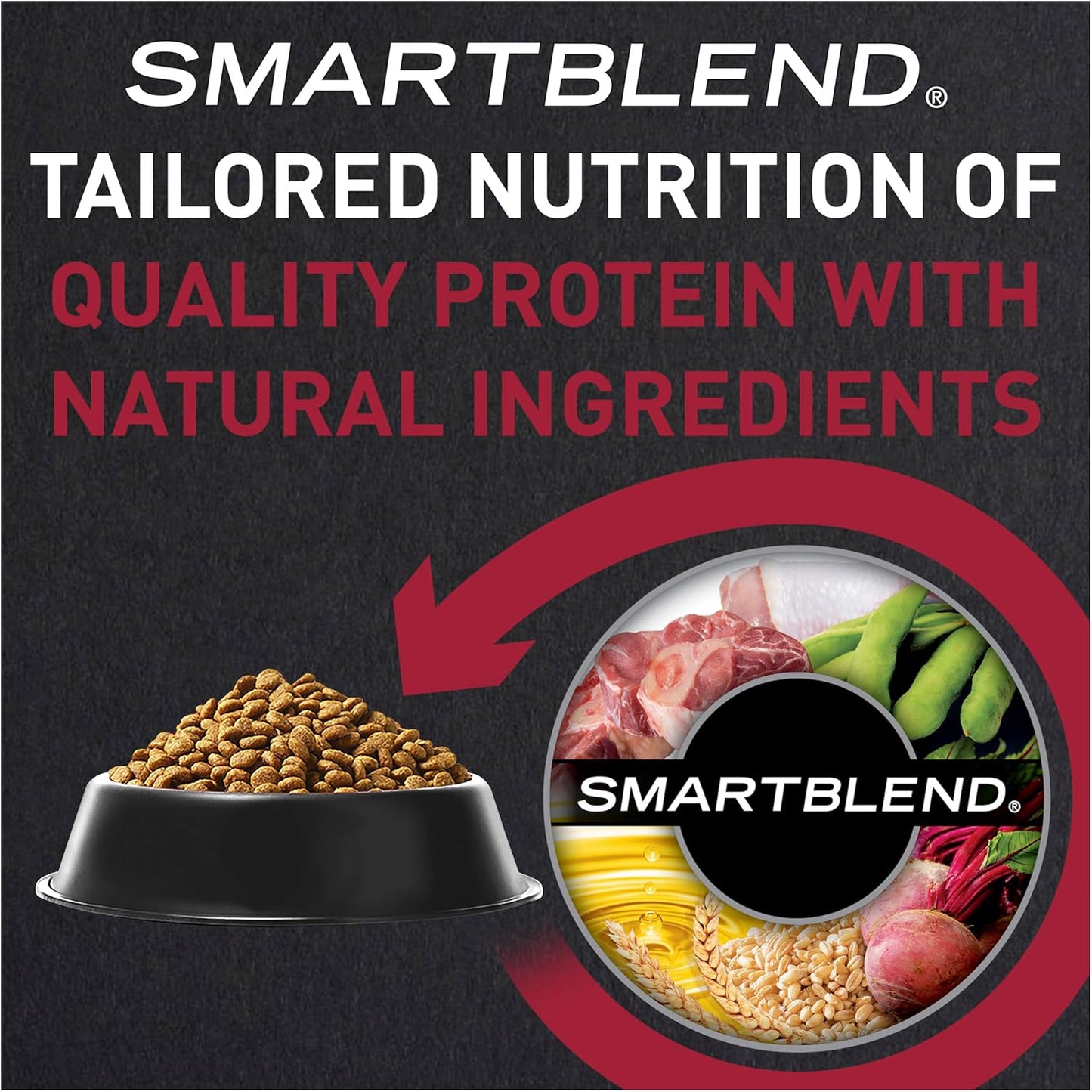 Adult Dog Food, Beef, 12kg