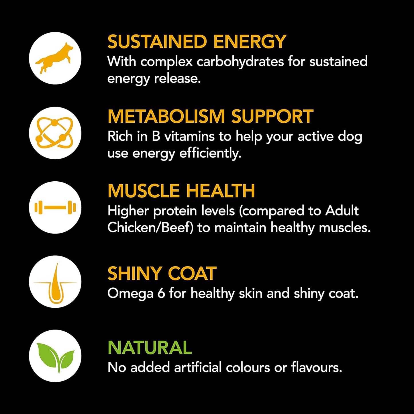Adult Active Beef Dry Dog Food 12kg