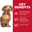 Hill's Science Diet Perfect Weight Adult Small & Mini Breed Chicken Recipe Dry Dog Food 5.67 kg
