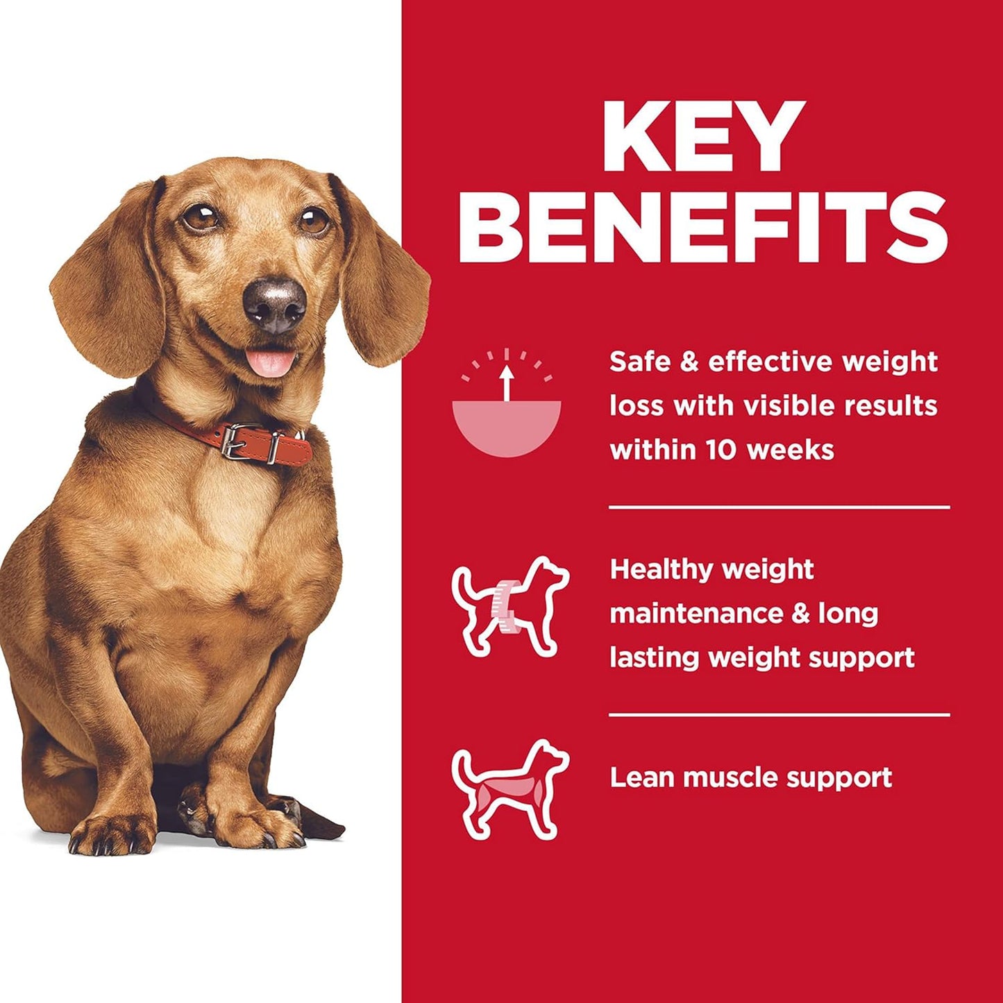 Hill's Science Diet Perfect Weight Adult Small & Mini Breed Chicken Recipe Dry Dog Food 5.67 kg